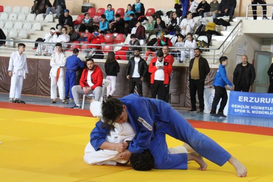 Judoda Analig heyecanı sona erdi