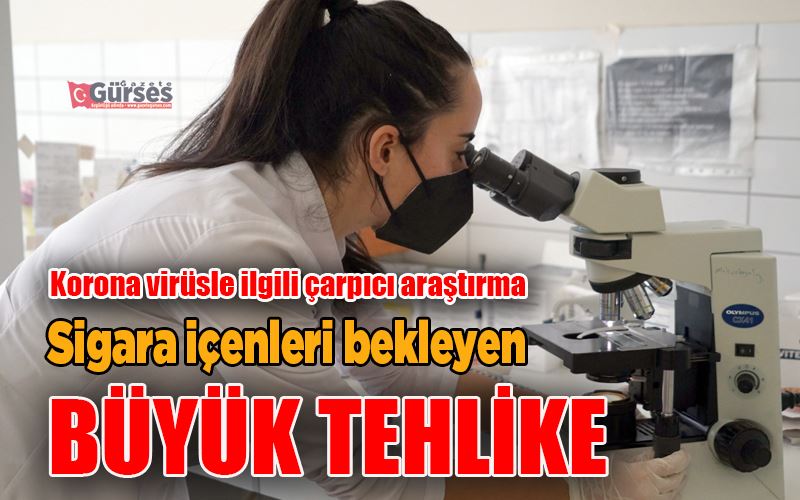Korona virüsle ilgili çarpıcı araştırma: 