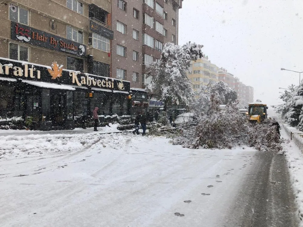 Erzurum
