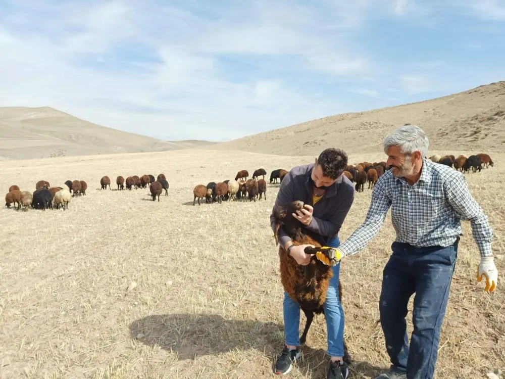 “Köyümde Yaşamak İçin Bir Sürü Nedenim Var” projesi yeniden başladı