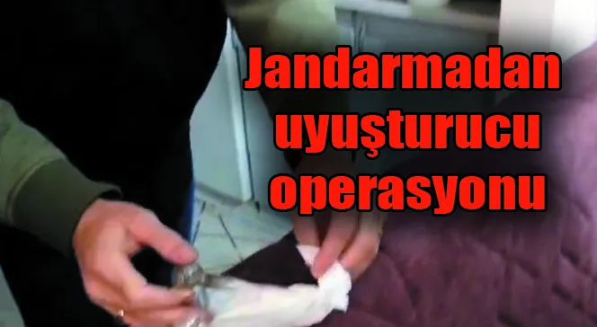 Jandarmadan uyuşturucu operasyonu