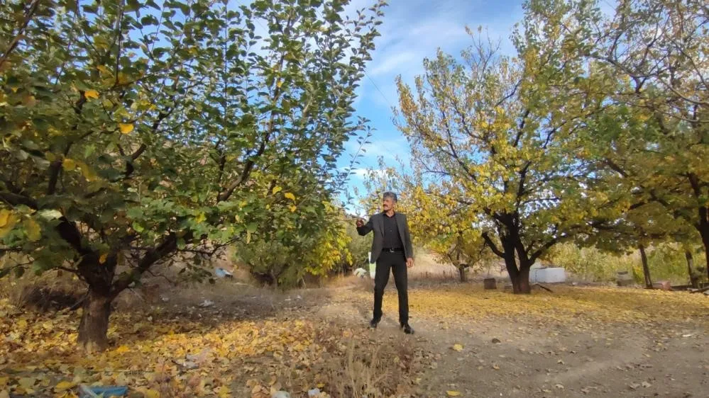 Erzurum Valiliği’nde ormanlara yasaklama kararı