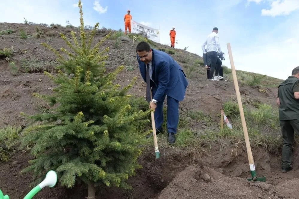 TBMM’nin 105. yılı anısına 105 bin fidan toprakla buluştu