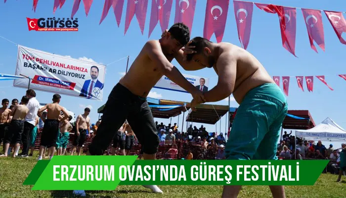 Erzurum Ovası’nda güreş festivali