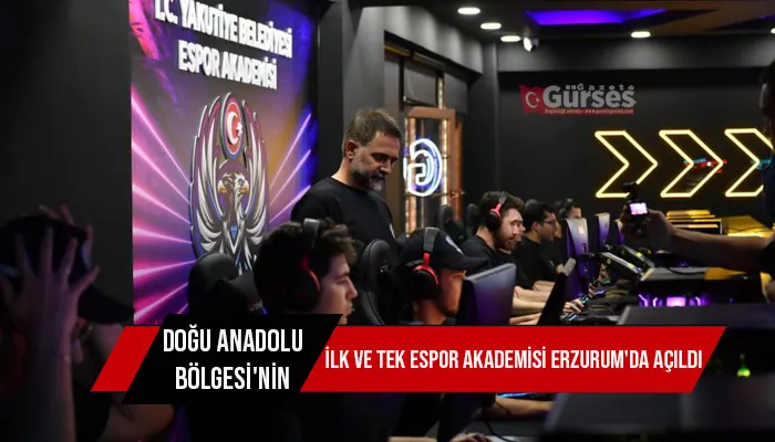 Doğu Anadolu Bölgesi