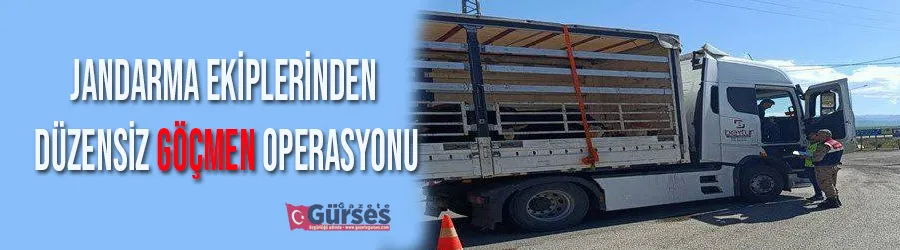 Jandarma ekiplerinden düzensiz göçmen operasyonu