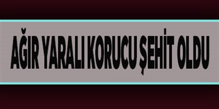 AGIR YARALI KORUCU SEHIT OLDU