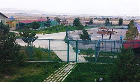 SOKAK HAYVANLARINA KONFORLU BAKIM EVI