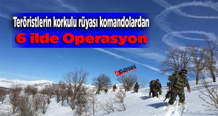 Komandolardan 6 ilde terör operasyonu