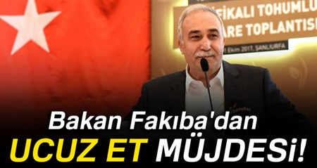 Bakan Fakiba