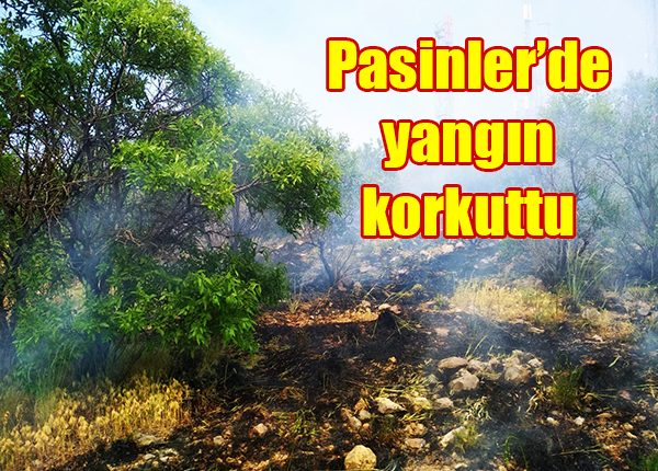 Pasinler’de yangin korkuttu