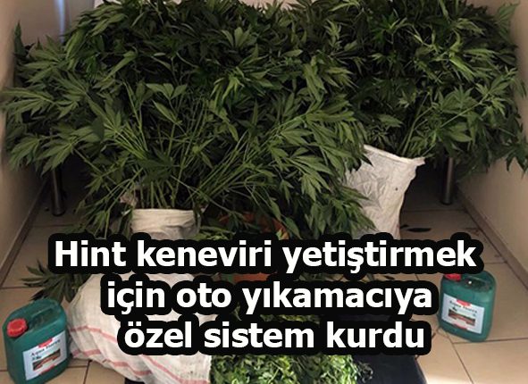 Hint keneviri yetistirmek için oto yikamaciya özel sistem kurdu