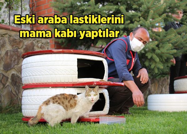 Eski araba lastiklerini mama kabi yaptilar