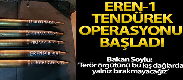 Içisleri Bakanligi açikladi! Eren-1 Tendürek operasyonu baslatildi