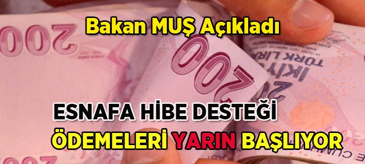 Esnafa hibe destegi ödemeleri yarin basliyor