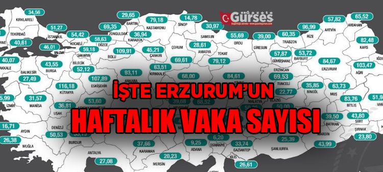Saglik Bakani Koca, illere göre haftalik vaka haritasi yayinlandi